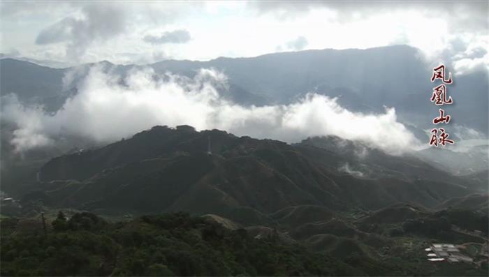 潮州市博物館兩個展覽入選8月全國熱門展覽榜單